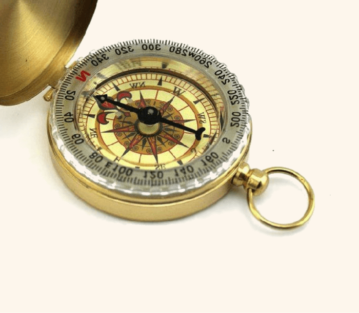 mini_compass2